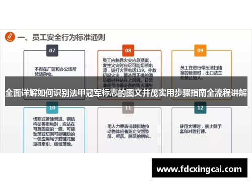全面详解如何识别法甲冠军标志的图文并茂实用步骤指南全流程讲解
