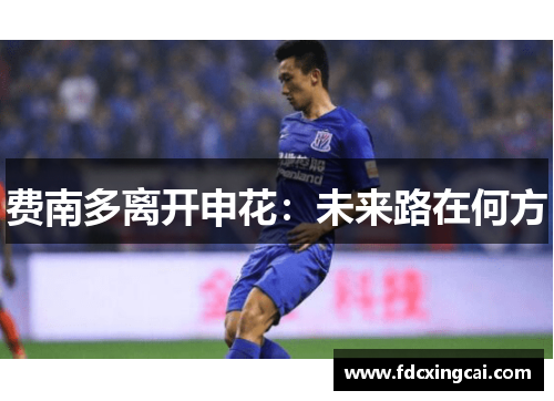 费南多离开申花：未来路在何方